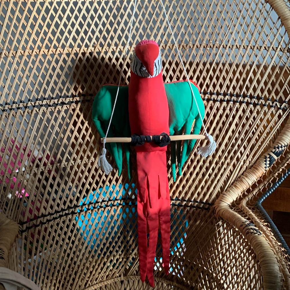 🦜 Parrot - Picture 3 of 5